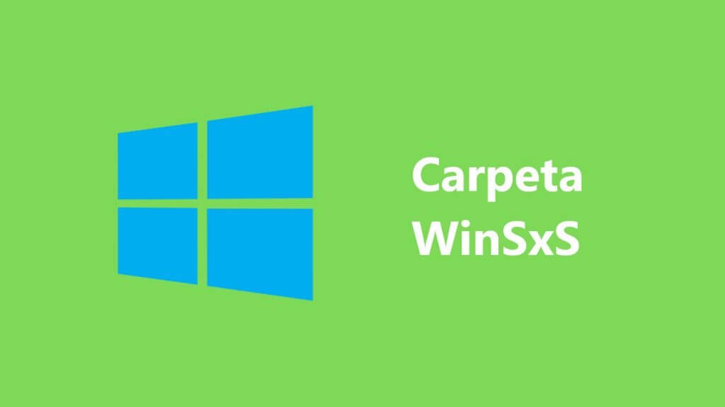 carpeta winsxs
