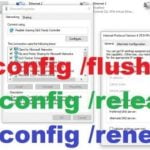 Release dns command – PRAMESH JANA