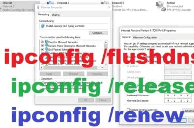 Release dns command – PRAMESH JANA