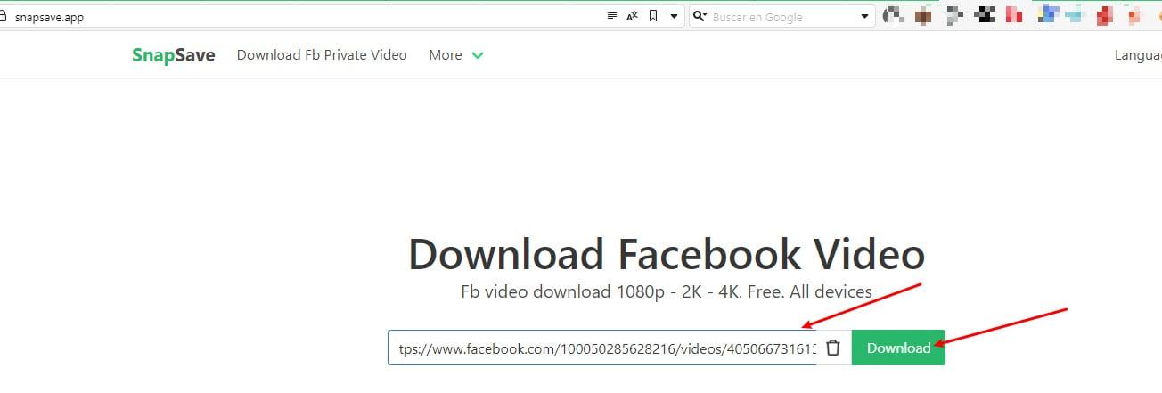 pegar url snap save