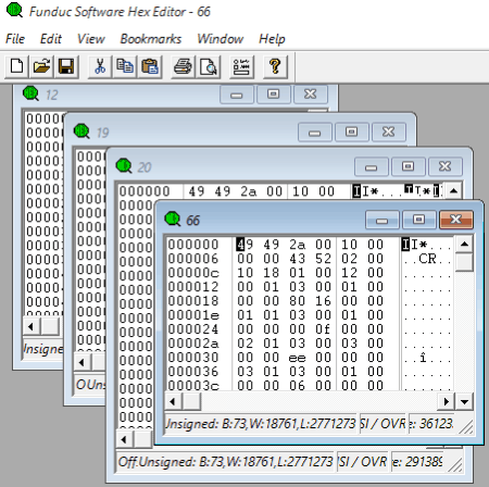 FS Hex Editor