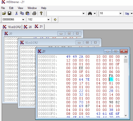 Hextreme Hex Editor